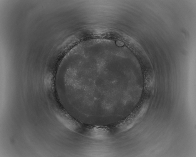 X0000111800270200908201200