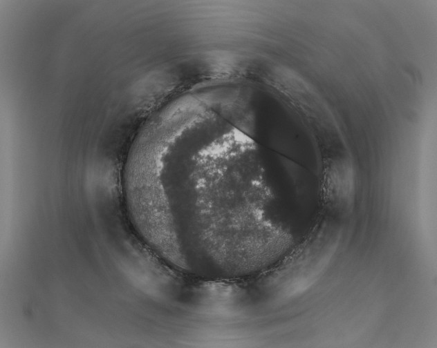 X0000111800272200908201200