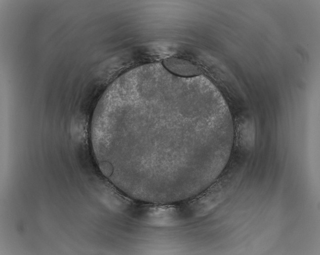 X0000111800274200908201200