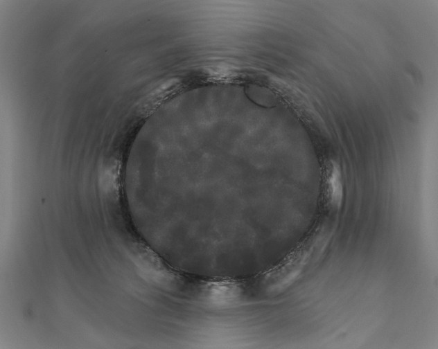 X0000111800275200908201200