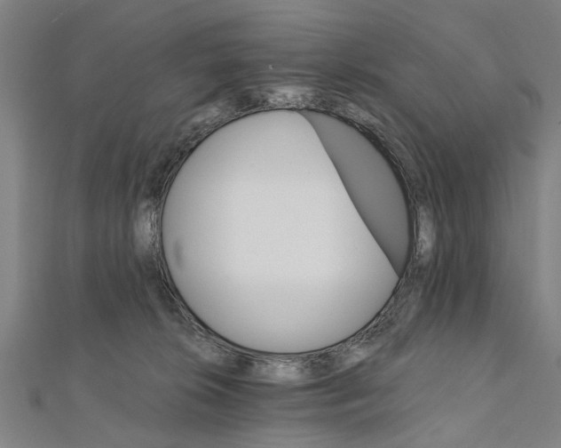 X0000111800276200908201200