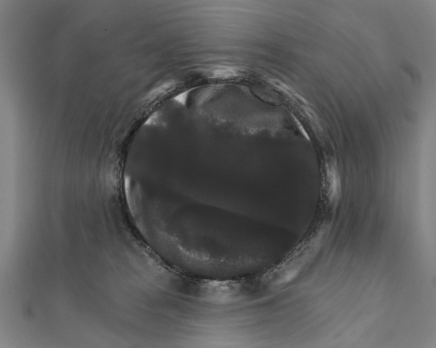 X0000111800277200908201200