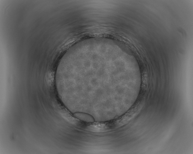 X0000111800278200908201200