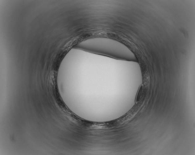 X0000111800280200908201200