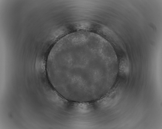X0000111800282200908201200