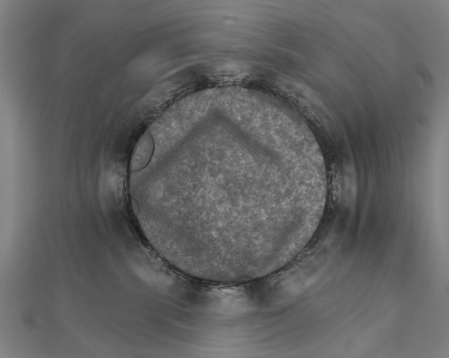 X0000111800283200908201200