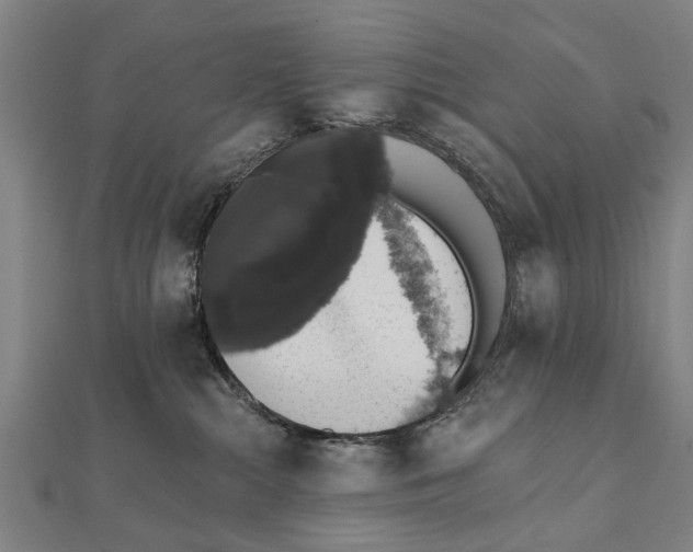 X0000111800284200908201200