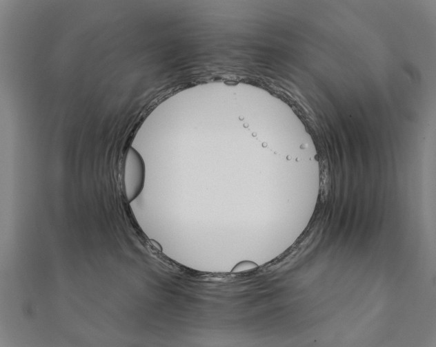 X0000111800285200908201200