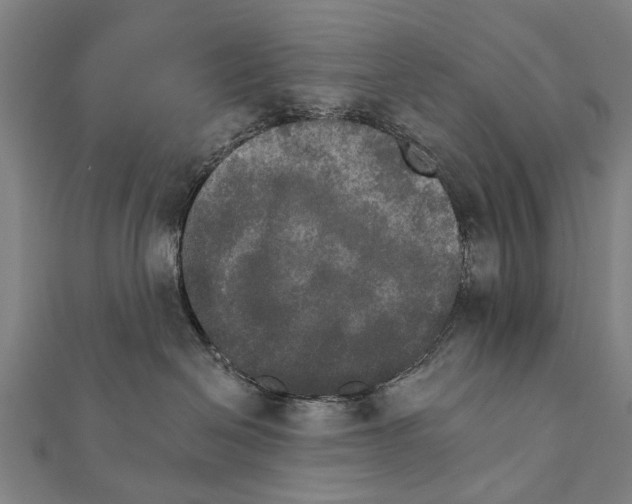 X0000111800286200908201200