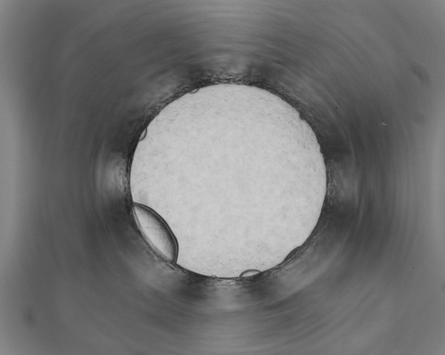 X0000111800287200908201200