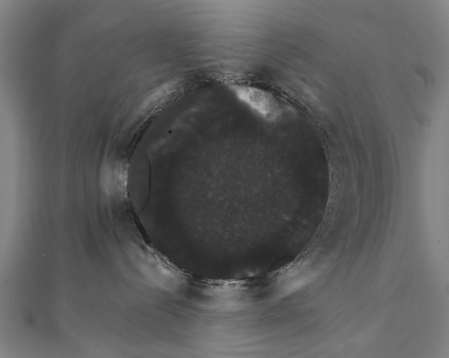 X0000111800288200908201200
