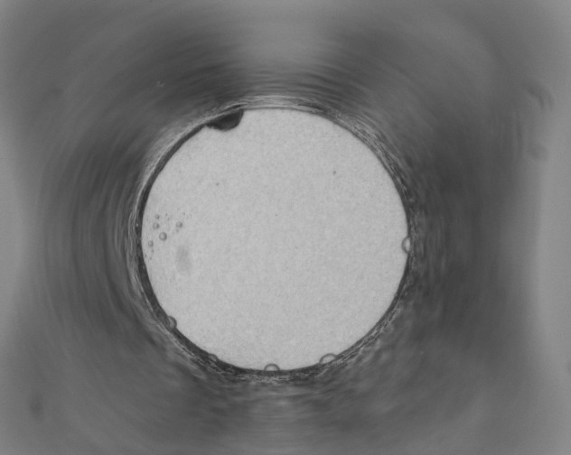 X0000111800289200908201159