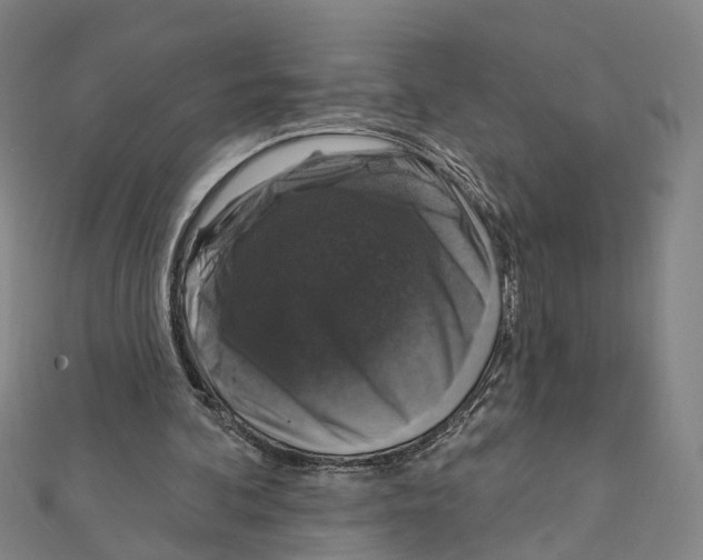 X0000111800292200908201159