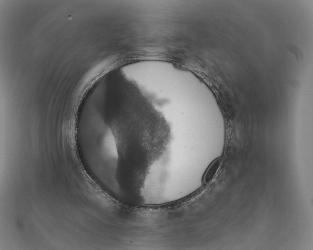 X0000111800293200908201159