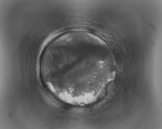 X0000111800294200908201159