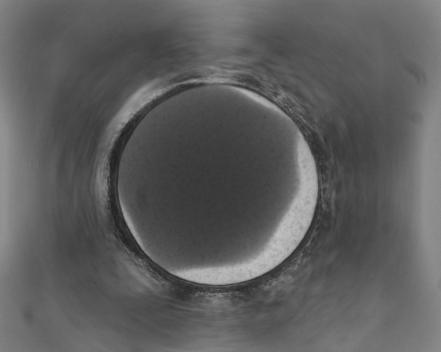 X0000111800295200908201159