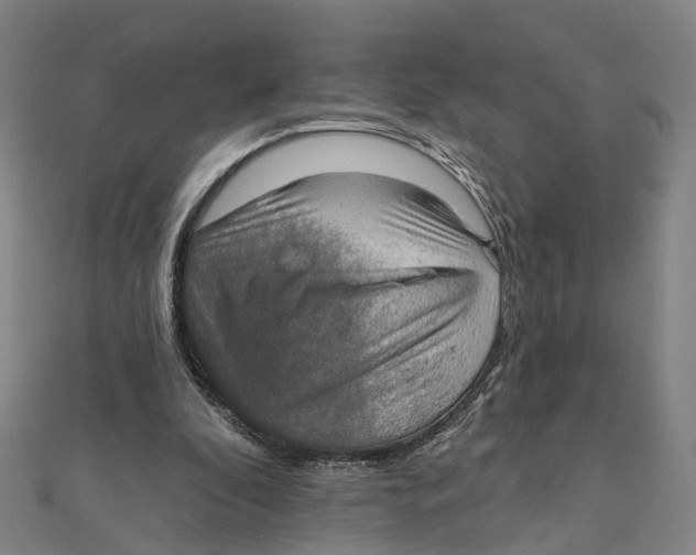 X0000111800296200908201159