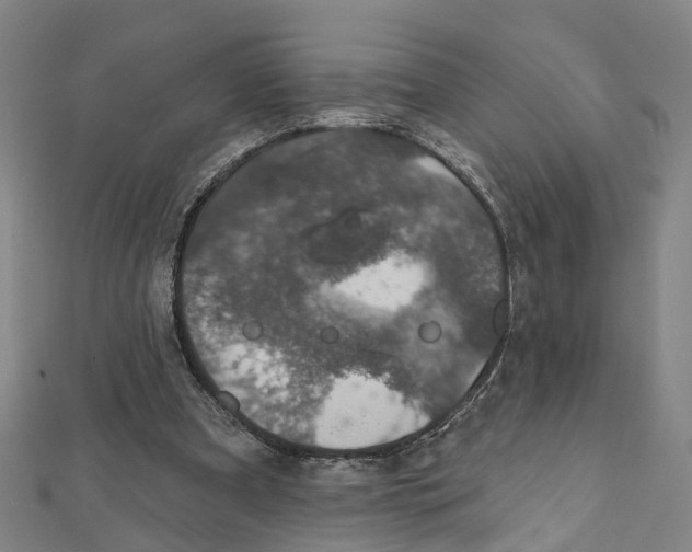 X0000111800297200908201159