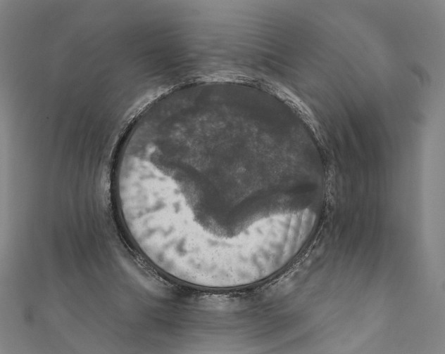 X0000111800298200908201159