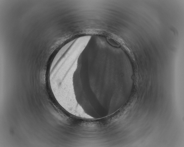 X0000111800299200908201159
