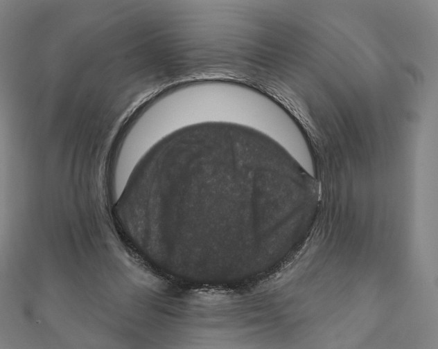 X0000111800300200908201159
