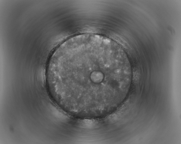 X0000111800302200908201159