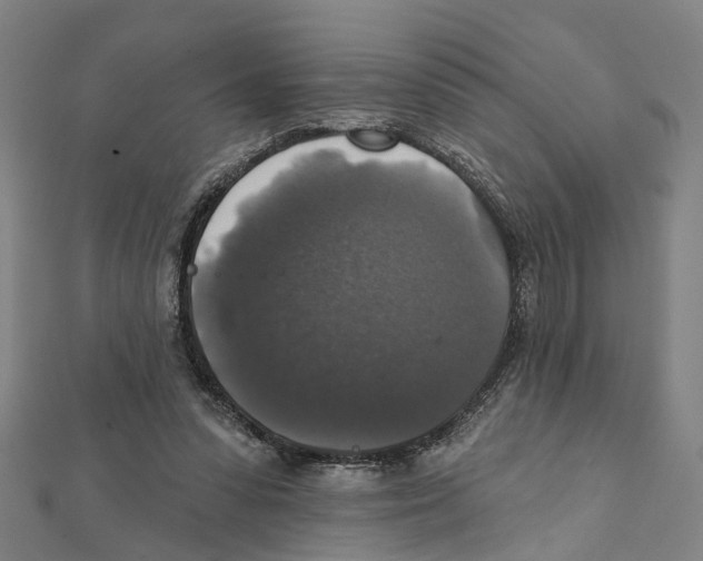 X0000111800303200908201159