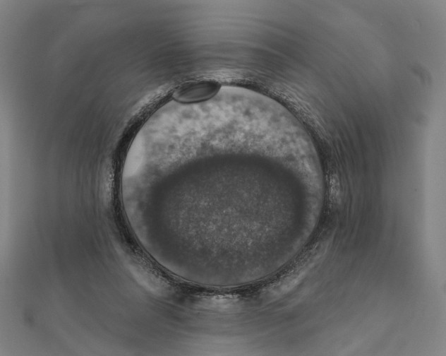 X0000111800304200908201159