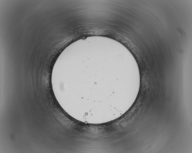 X0000111800305200908201159