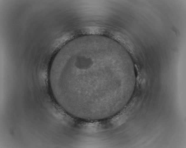 X0000111800306200908201159