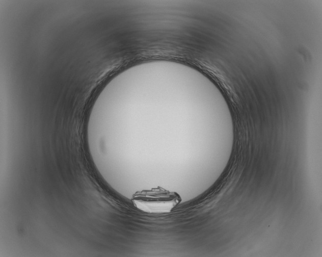 X0000111800308200908201159