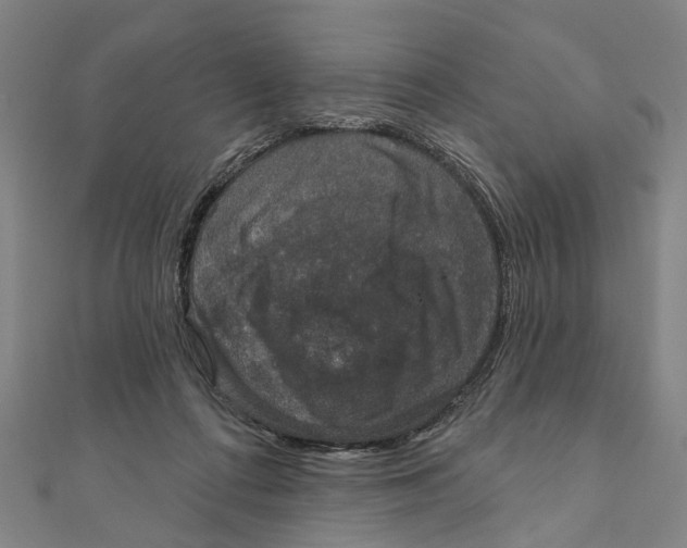 X0000111800312200908201159