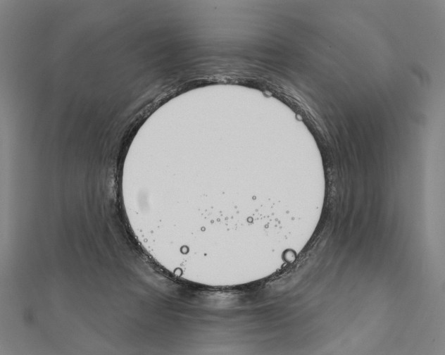 X0000111800313200908201159