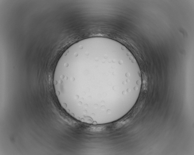 X0000111800314200908201159