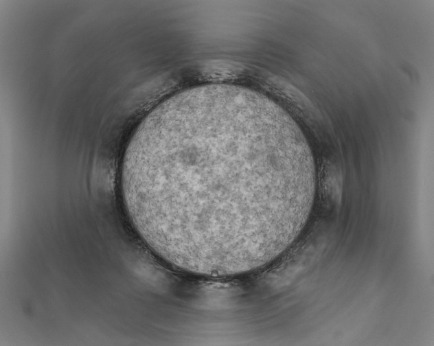 X0000111800315200908201159