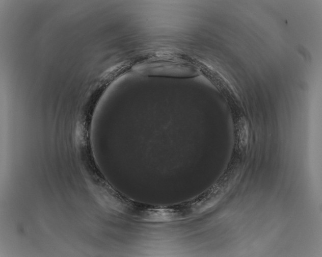 X0000111800316200908201159