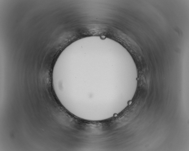 X0000111800317200908201159
