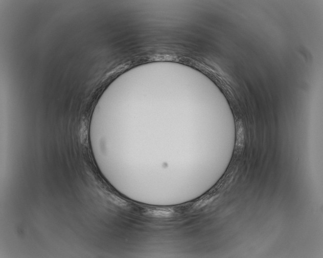 X0000111800318200908201159