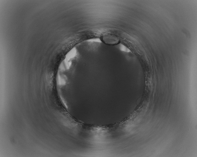 X0000111800319200908201159