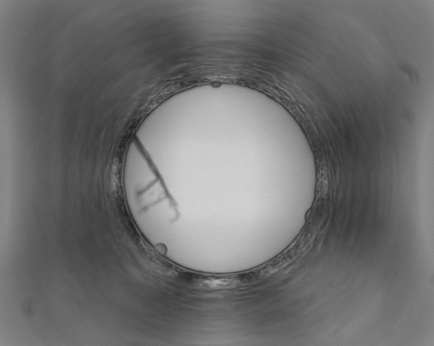 X0000111800323200908201158