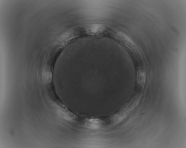 X0000111800324200908201158