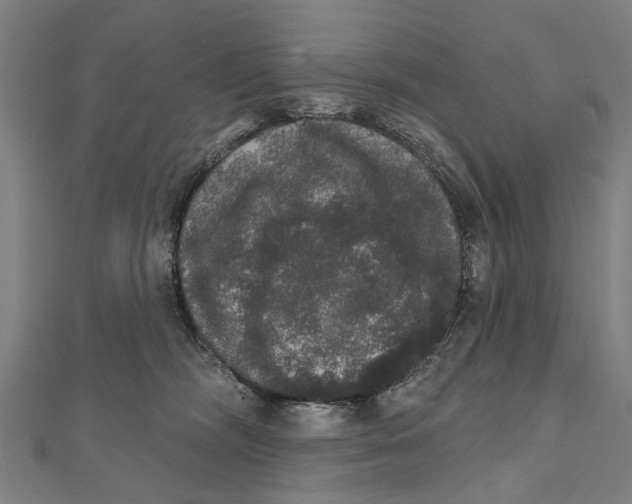 X0000111800326200908201158