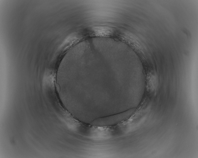X0000111800329200908201158