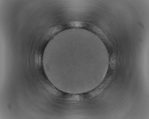 X0000111800330200908201158