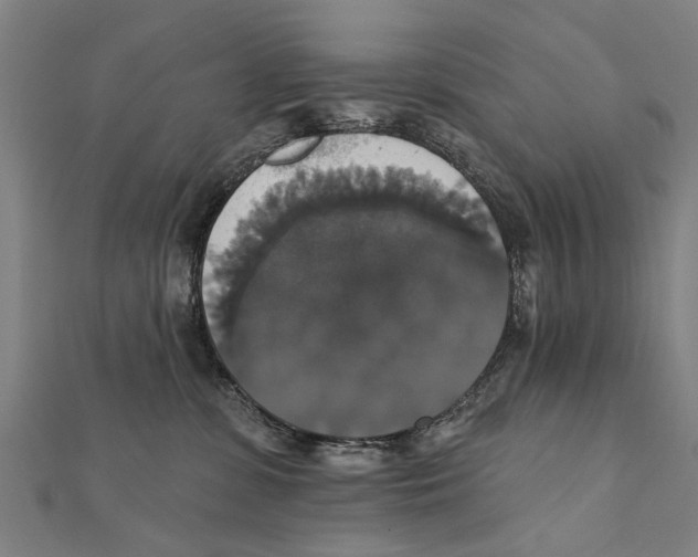 X0000111800331200908201158