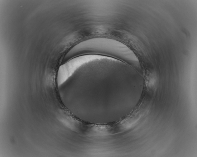 X0000111800332200908201158