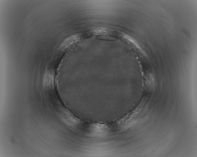 X0000111800333200908201158