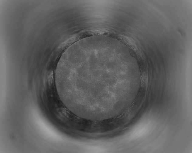 X0000111800335200908201158