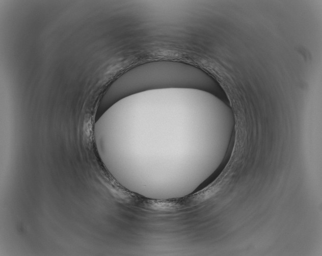 X0000111800336200908201158