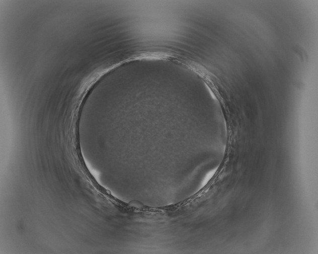 X0000111800337200908201158
